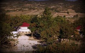 Campo de Reyes